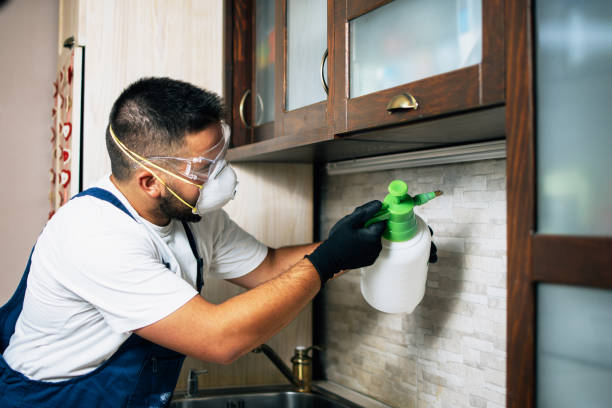 Best Pest Inspection Near Me  in Calhoun, GA