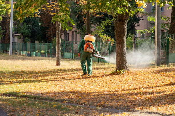Pest Prevention Services in Calhoun, GA
